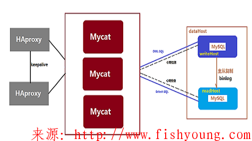 Linux+Mysql多实例主从复制+Mycat读写分离（实战总结）